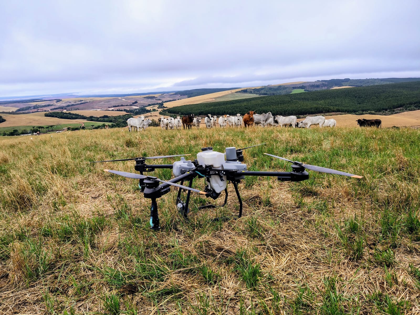 Drone sobrevoando lavoura
